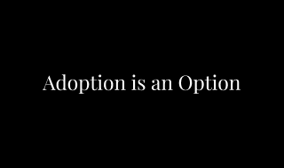 Adoption is an Option